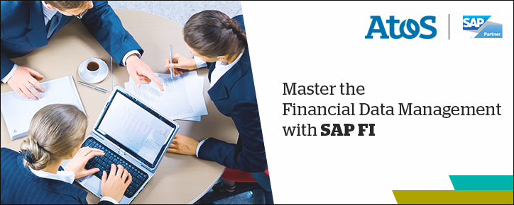 Master the Financial Data Management with SAP FI